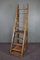 Large Antique Library Ladder 2