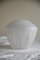 Vintage Ceiling Lamp Shade in White Glass 8