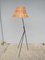 Scandinavian Lamp Luco Model 2612 by Eje Ahlgren, 1950s 1
