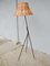 Scandinavian Lamp Luco Model 2612 by Eje Ahlgren, 1950s 2