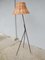 Scandinavian Lamp Luco Model 2612 by Eje Ahlgren, 1950s, Image 2