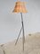 Scandinavian Lamp Luco Model 2612 by Eje Ahlgren, 1950s 5