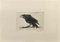 Enotrio Pugliese, Crow, Etching, 1963 1