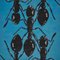 Peter Kogler, Ants, 1995, Silk-Screen on Canvas 1