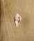 Lámpara colgante Womb pequeña de arcilla beige natural de Jan Ernst, Imagen 3