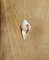 Medium Womb Pendant in Natural Beige Clay by Jan Ernst 1