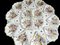 Large French Floral Oyster Platter from Moustiers Martres Tolosane, 1950s 11