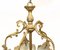 Rococo French Ormolu Hall Lantern 5