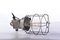 Industrial Cage Lamp Gray| Vintage Bully 7