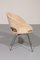 Model 350 Lounge Chair by Arno Votteler for Walter Knoll, 1950s 2