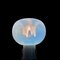 Stall Lampe aus Muranoglas von Toni Zuccheri für Veart, 1970er 8