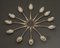 Alphonse Debain Becasse Silver Spoons, Set of 12, Image 1