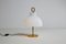 Vintage Modell Arenzano Lampe, 1956 2