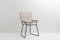 Vintage Bertoia Chair by Harry Bertoia, 1952 1