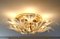 Royal Murano Glas Deckenlampe von Franco Luce für Seguso, 1970er 3