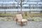 Antimott Sessel aus Nussholz von Walter Knoll / Wilhelm Knoll, 1960er 11