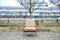 Antimott Walnut Easy Chair from Walter Knoll / Wilhelm Knoll, 1960s 3