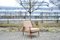 Antimott Sessel aus Nussholz von Walter Knoll / Wilhelm Knoll, 1960er 7