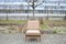 Antimott Walnut Easy Chair from Walter Knoll / Wilhelm Knoll, 1960s 2