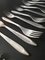 Vintage Silver-Plated Alpacca Cutlery by Berndorf, Austria, 1964, Set of 49 5