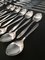 Vintage Silver-Plated Alpacca Cutlery by Berndorf, Austria, 1964, Set of 49 4