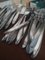 Vintage Silver-Plated Alpacca Cutlery by Berndorf, Austria, 1964, Set of 49 23