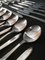 Vintage Silver-Plated Alpacca Cutlery by Berndorf, Austria, 1964, Set of 49 6