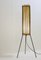Mid-Century Bambus Dreibein Stehlampe 3