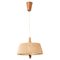 Raffia Pendant Lamp from Temde, Switzerland, 1950s 1