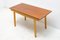 Mid-Century Central Coffe Table, Czechoslovakia, 1960s 14