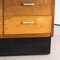 Belgiium Laboratory Chest of Drawers, 1950s, Image 10