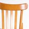 Bentwood Honey Beech Striped Seat Bentwood Dining Chairs, 1970s, Set of 6 3