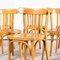 Bentwood Honey Beech Bentwood Dining Chairs, 1950s, Set of 6, Image 8