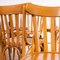 Bentwood Honey Beech Bentwood Dining Chairs, 1970s, Set of 15 5