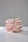 Coral Y Atlantis Collection Decorative Object by Angeliki Stamatakou 1