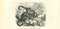 Paul Gervais, The Monkey, Litografía, 1854, Imagen 1