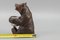 Hand-Carved Black Forest Bear with Aluminum Pot, 1920s, Image 20