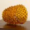 Rostrato Amber and Crystal Murano Glass Vase, Italy 7