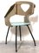 Dining Chairs by Carlo Ratti for Industria Legni Curvati, Italy, 1955, Set of 6 20