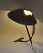 Lampe de Bureau NB100 par Louis Kalff pour Philips, 1950s 4