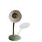 Small Bauhaus Mint Green Metal Goose Neck Desk Table Lamp , 1950s, Image 7