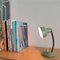 Small Bauhaus Mint Green Metal Goose Neck Desk Table Lamp , 1950s 3