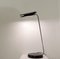 Mid-Century Modern Adjustable Desk Lamp by Bruno Gecchelin for Skipper & Pollux, Set of 2 3
