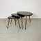 Nest of Pebble Tables by Lucian Ercolani for Ercol, 1950s, Set of 3, Image 1