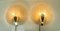 Lámparas de pared en forma de concha de cristal de Murano y latón de Hillebrand, años 60. Juego de 2, Imagen 3