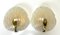 Ice Murano and Brass Shell Shapes Wall Lamps from Hillebrand, 1960s, Set of 2 13