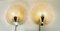 Ice Murano and Brass Shell Shapes Wall Lamps from Hillebrand, 1960s, Set of 2 4