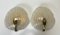Ice Murano and Brass Shell Shapes Wall Lamps from Hillebrand, 1960s, Set of 2 6