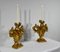 Florentine Fire Pot Candleholders in Golden Linden, Late 18th Century, Set of 2 2