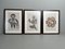 Henry Hunt, Noreen Hunt & Patrick Amos, First Nations Figurative Artworks, 1960s, Prints, Framed, Set of 3 1